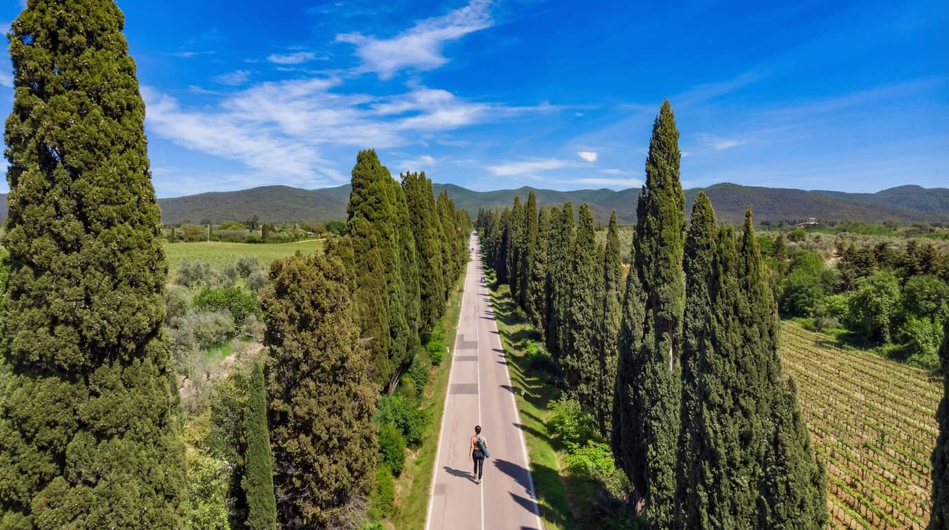 Viale dei Cipressi e vigneti di Bolgheri