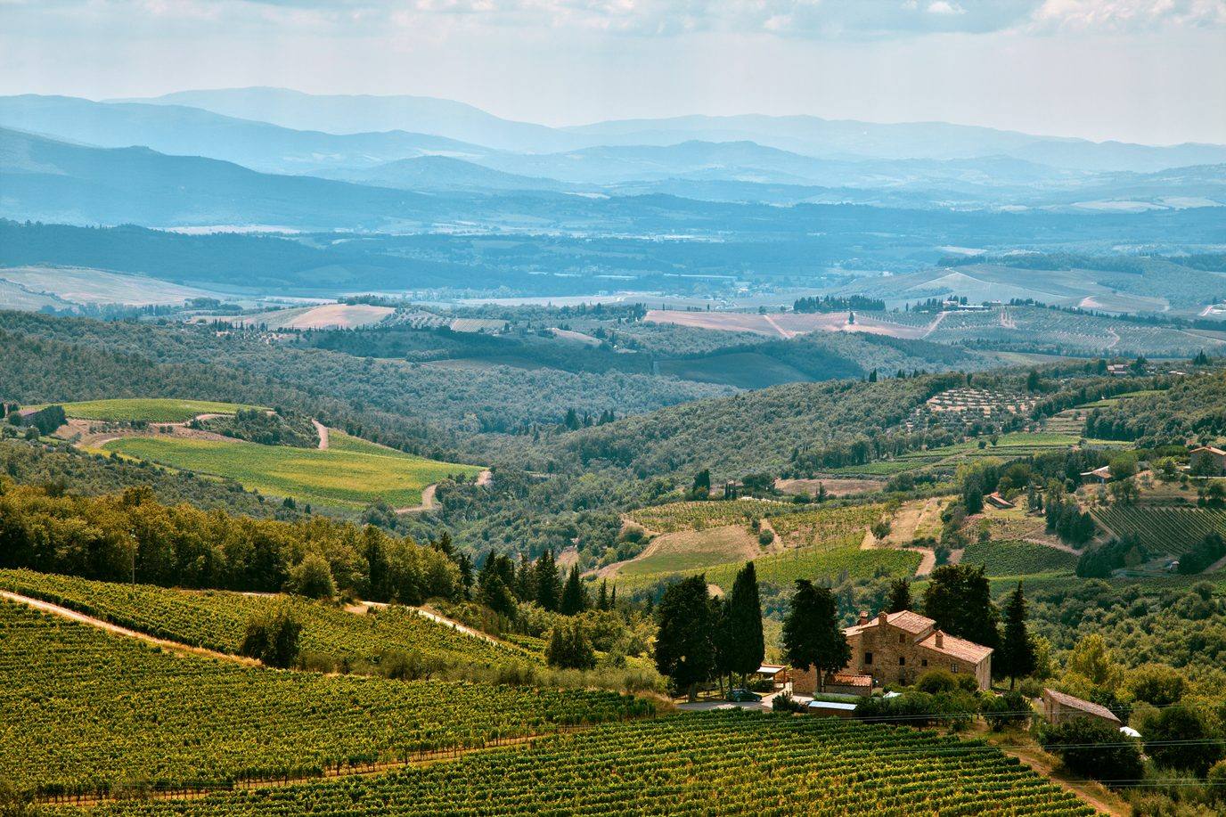 Vigne e colline di cipressi nel Chianti